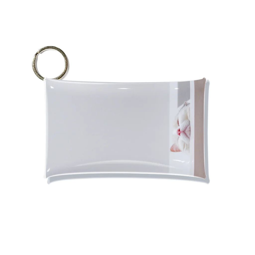 chatonの実家の猫 Mini Clear Multipurpose Case