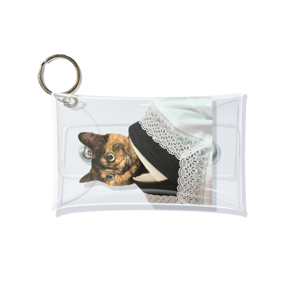 愛猫のグッズが欲しいのマザー・ミーナ Mini Clear Multipurpose Case