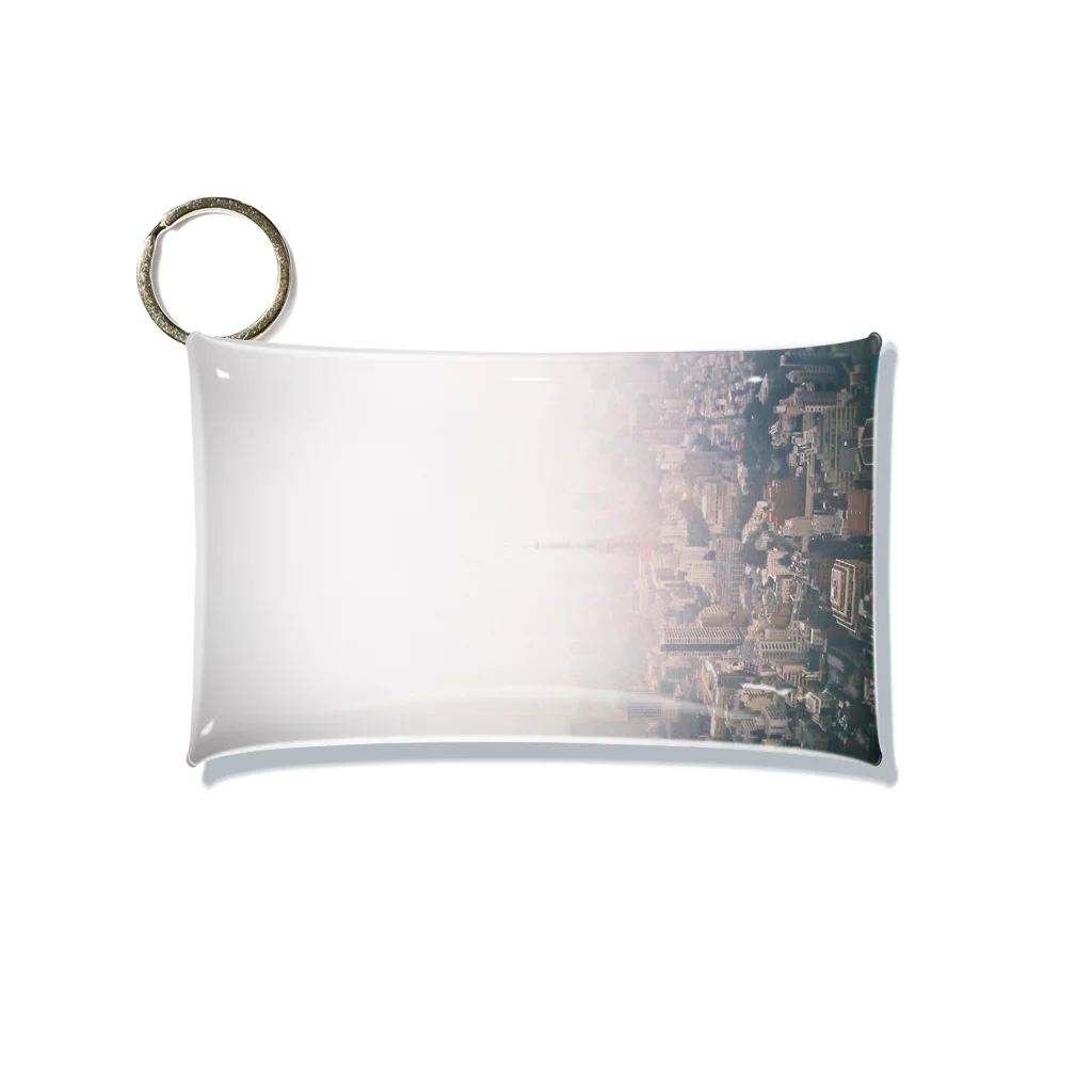 mina inoのTokyo 1 Mini Clear Multipurpose Case