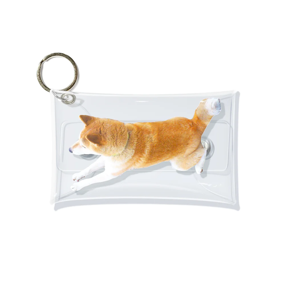 愛犬太郎のグッズのそこをなんとか！な太郎【柴犬】 Mini Clear Multipurpose Case