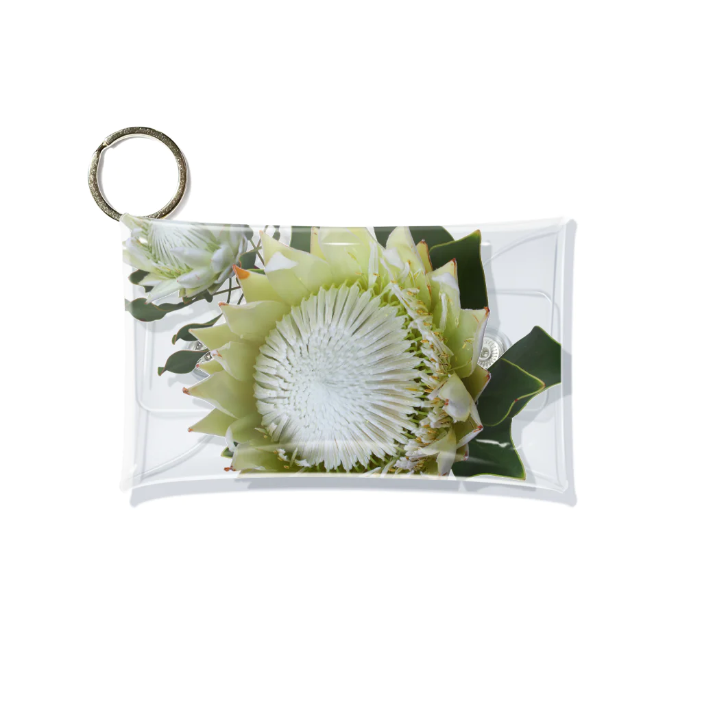 flower & Plants EdenのWild Flower キングプロテア Mini Clear Multipurpose Case