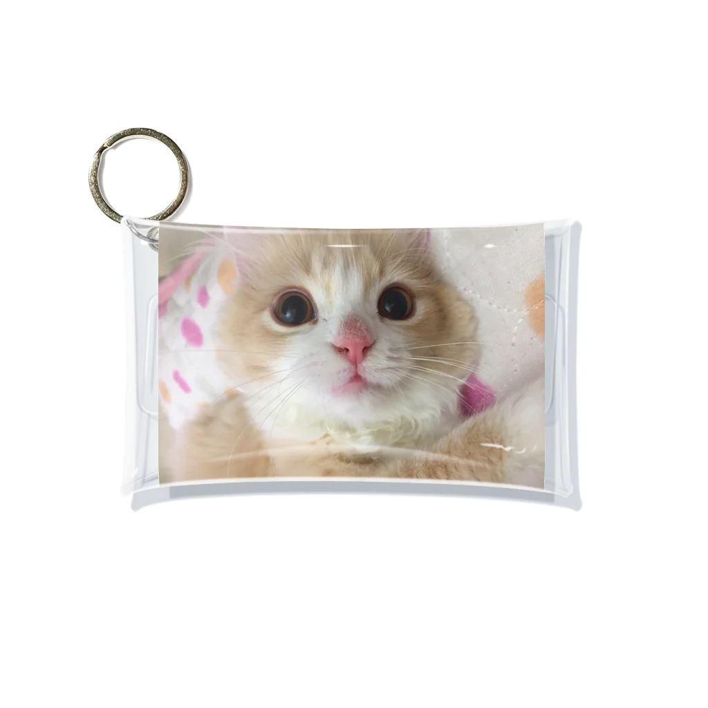 にゃんこの「めめたん」グッズのどあっぷ Mini Clear Multipurpose Case