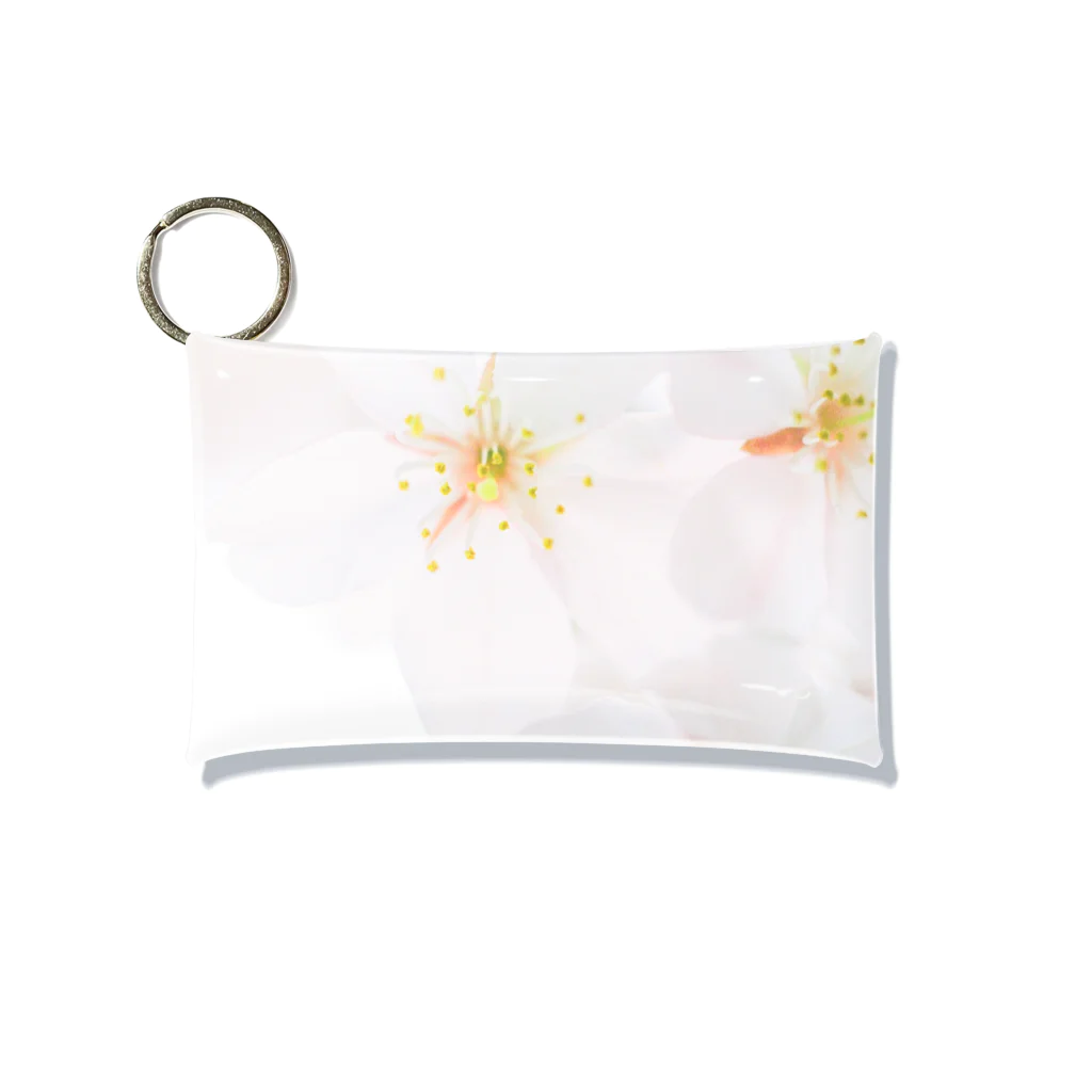 RZ67 Film Photo Galleryの「桜」 FUJIFILM PRO400H Mini Clear Multipurpose Case