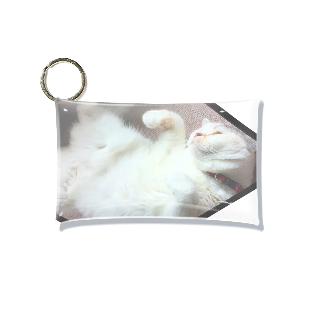 腹出し猫さんが癒しますの腹出しネコさん Mini Clear Multipurpose Case