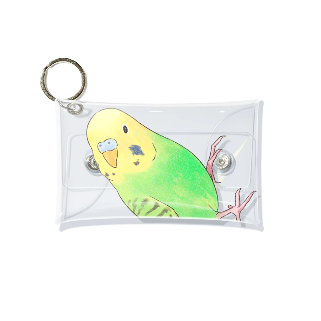 まめるりはことりの首傾げセキセイインコ　ピーちゃん【まめるりはことり】 Mini Clear Multipurpose Case