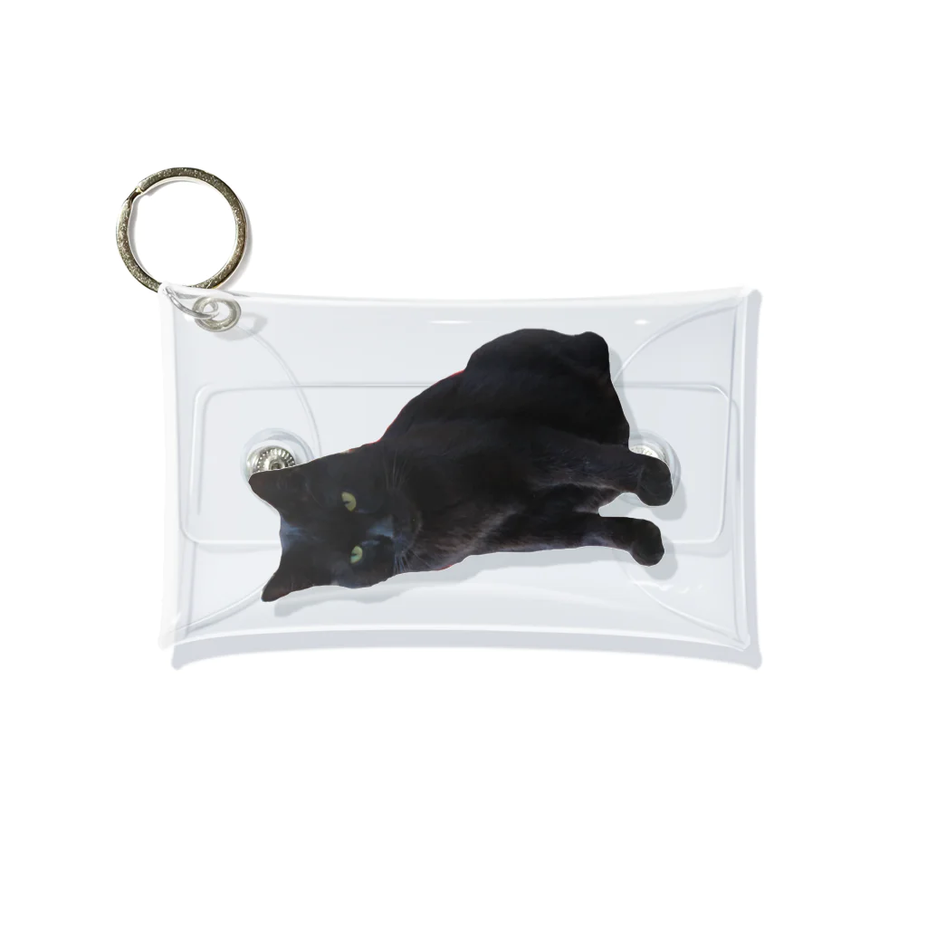 黒猫のふくちゃんの黒猫のふくちゃん Mini Clear Multipurpose Case