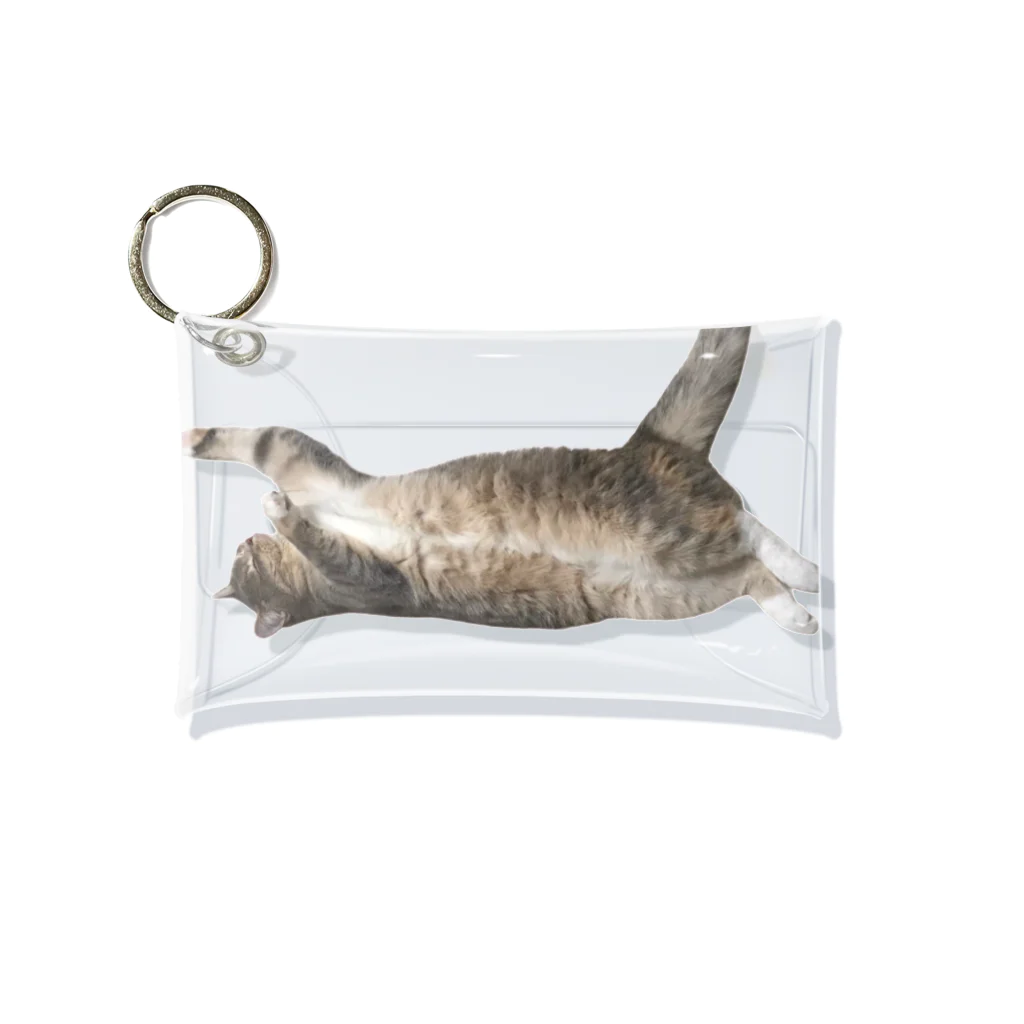 ねこのパピコのパピコ（盆踊りのすがた） Mini Clear Multipurpose Case