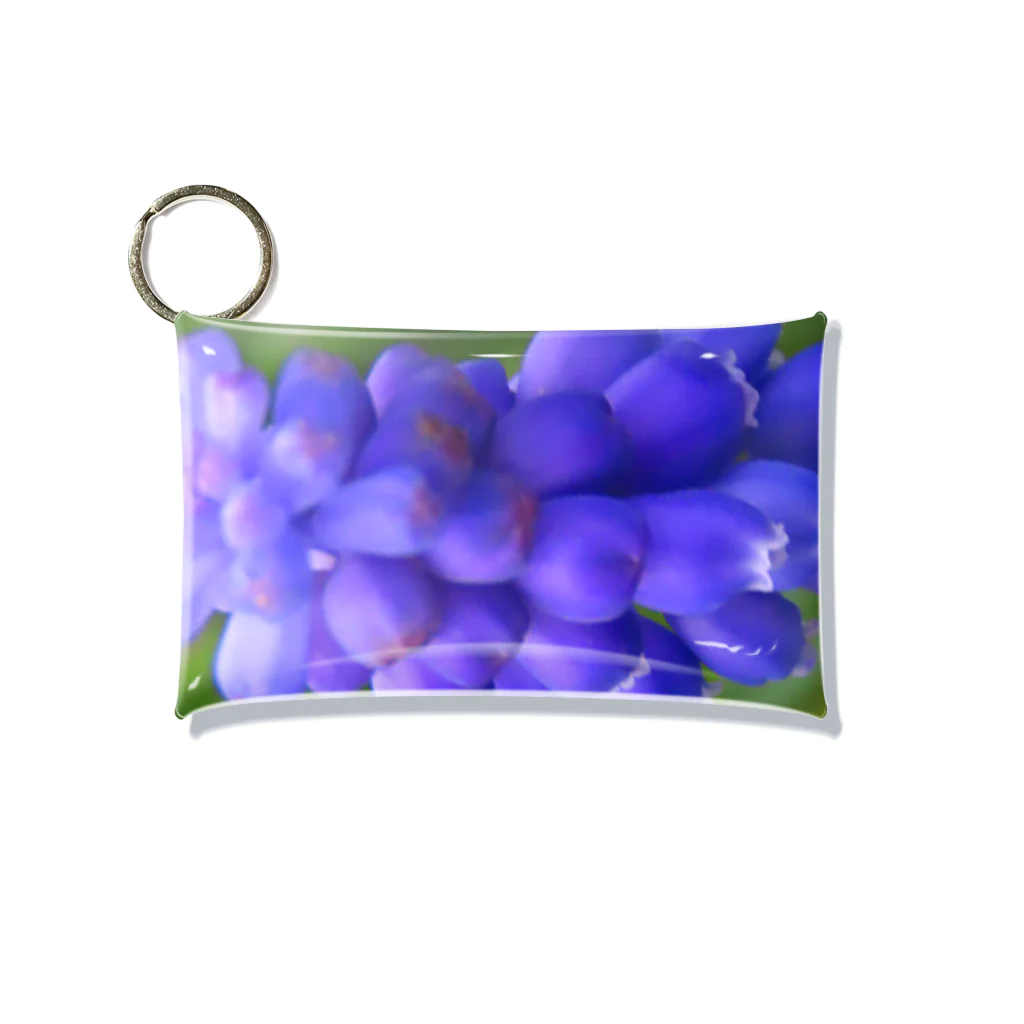 でおきしりぼ子の実験室のMuscari botryoides(1:1) Mini Clear Multipurpose Case