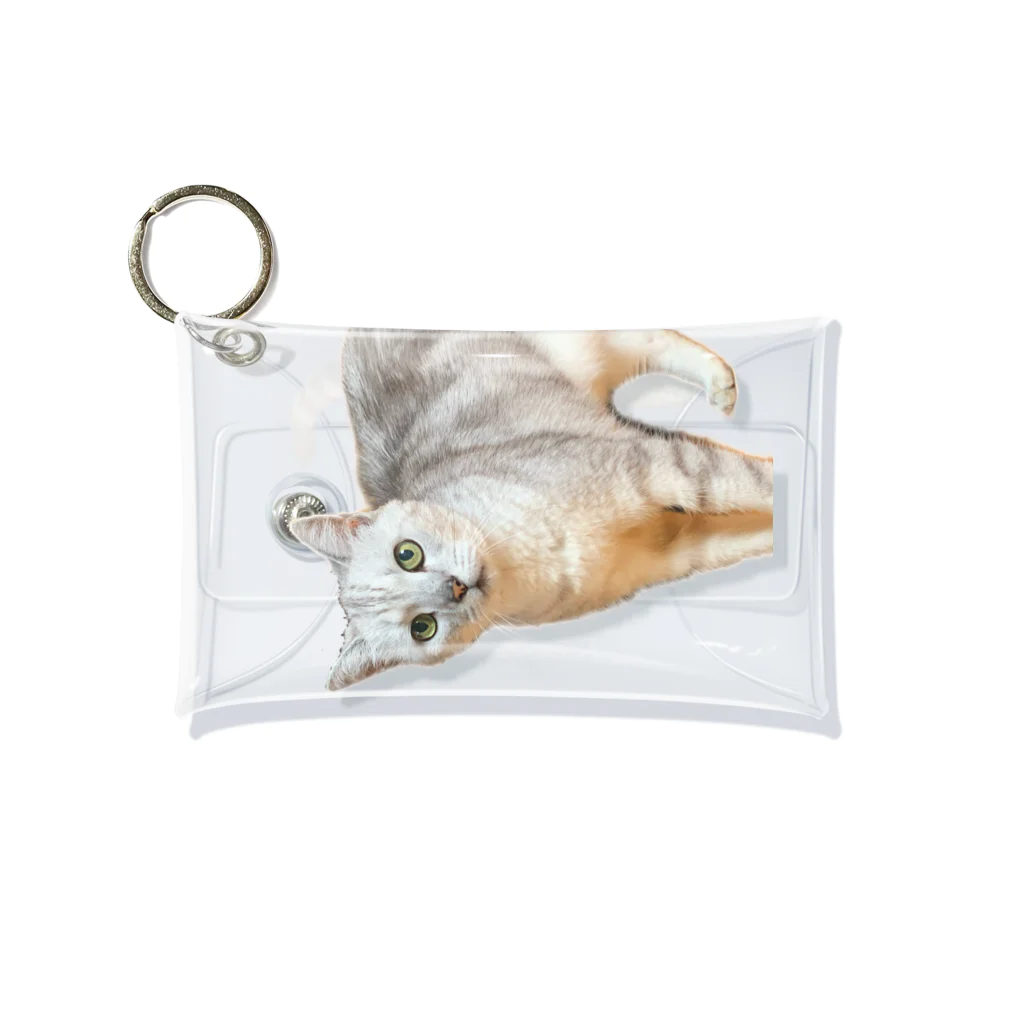 ポメショップの他人の猫 Mini Clear Multipurpose Case