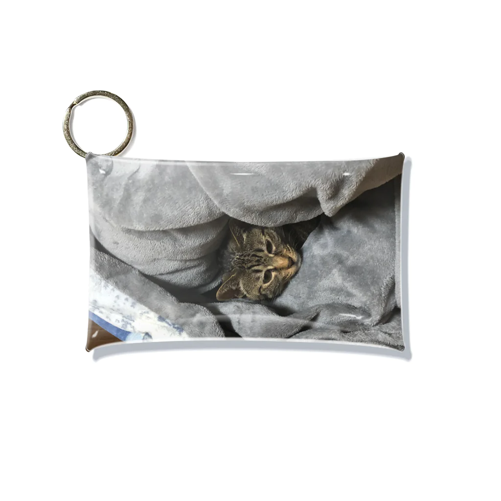 otaの愛猫グッズ Mini Clear Multipurpose Case