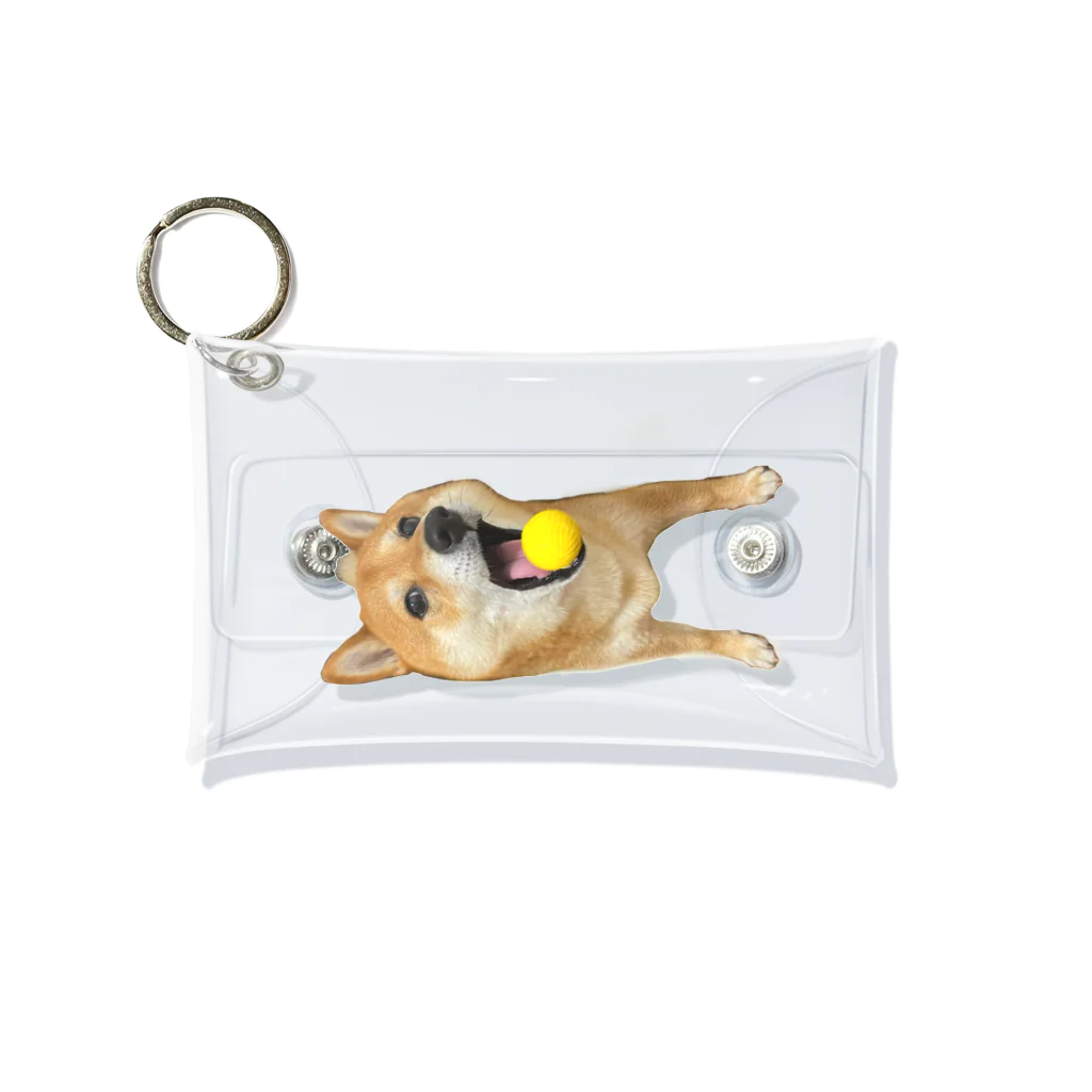 柴犬　晴　カフェオレのボールを取りたいしば犬 Mini Clear Multipurpose Case