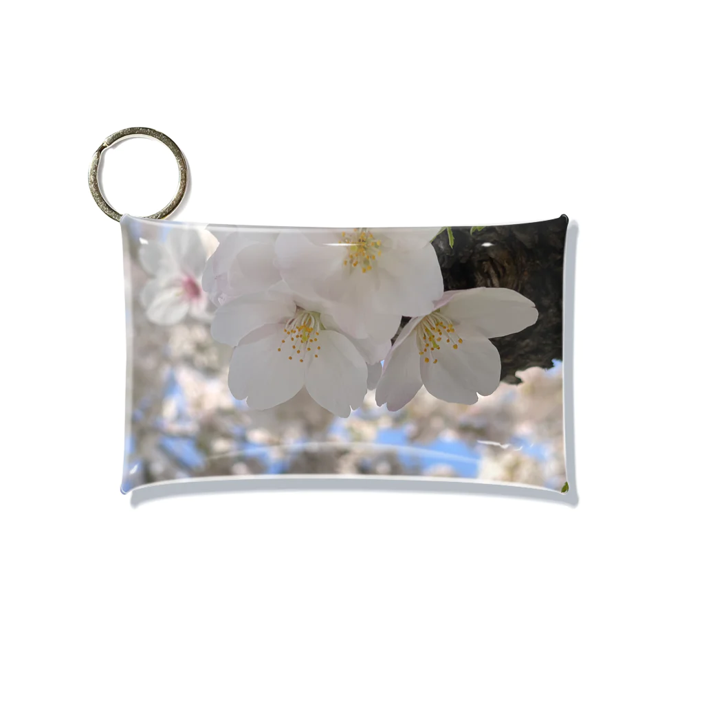 まこの見た景色の桜 Mini Clear Multipurpose Case