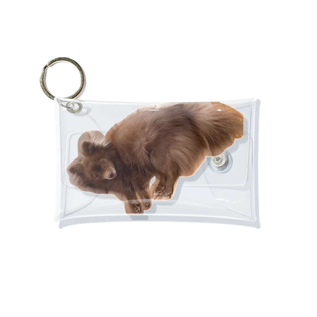 犬小屋の犬のミニクリアケース Mini Clear Multipurpose Case