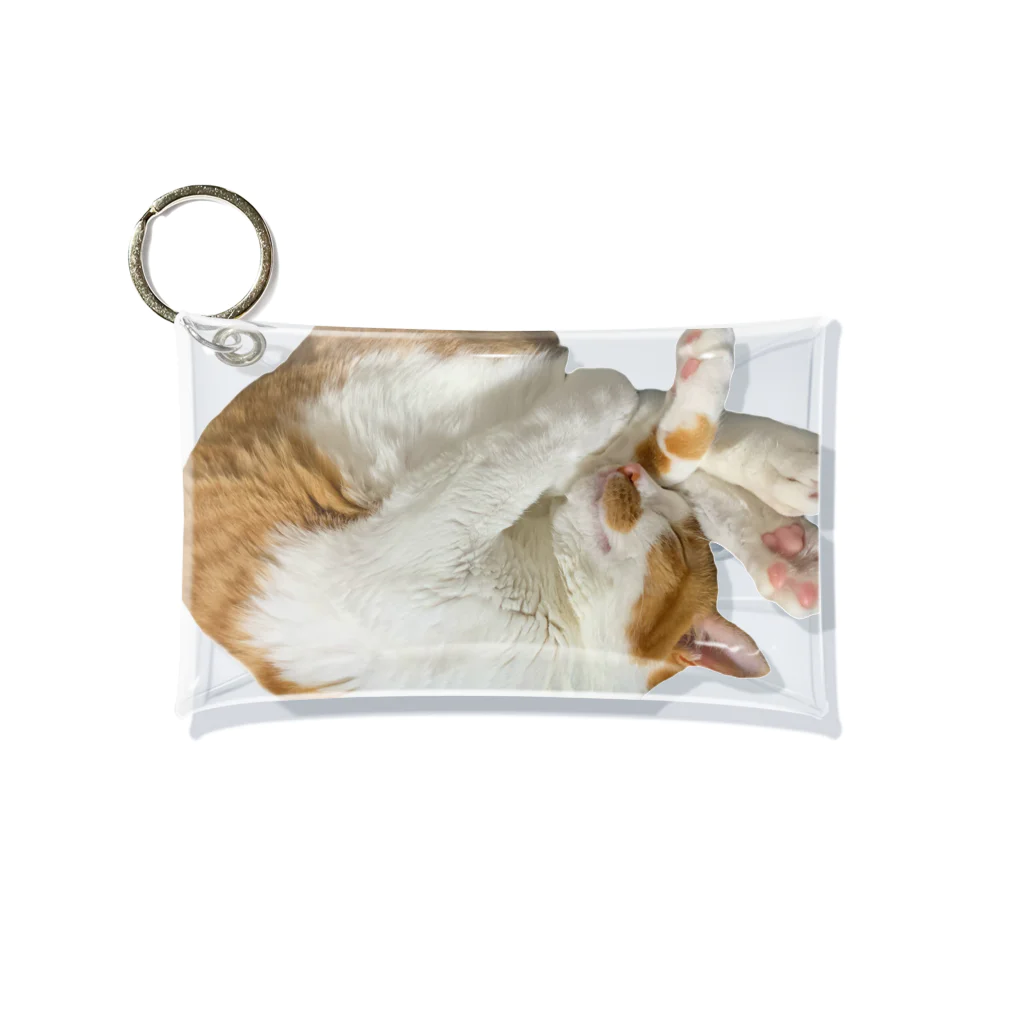 mellokkomaのえび風コマ Mini Clear Multipurpose Case