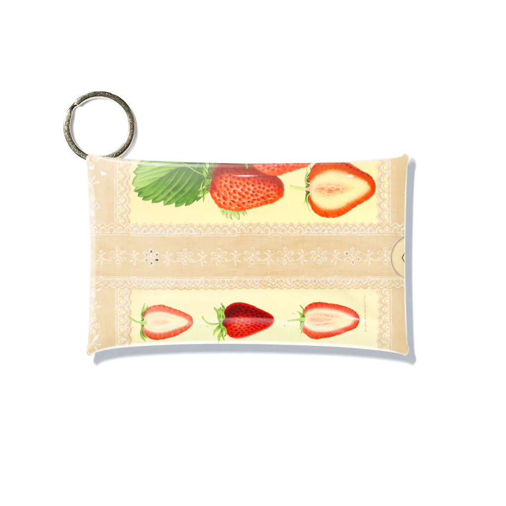 海賊猫 cocoの『いちごの標本帖』🍓Donation Items for cats Mini Clear Multipurpose Case