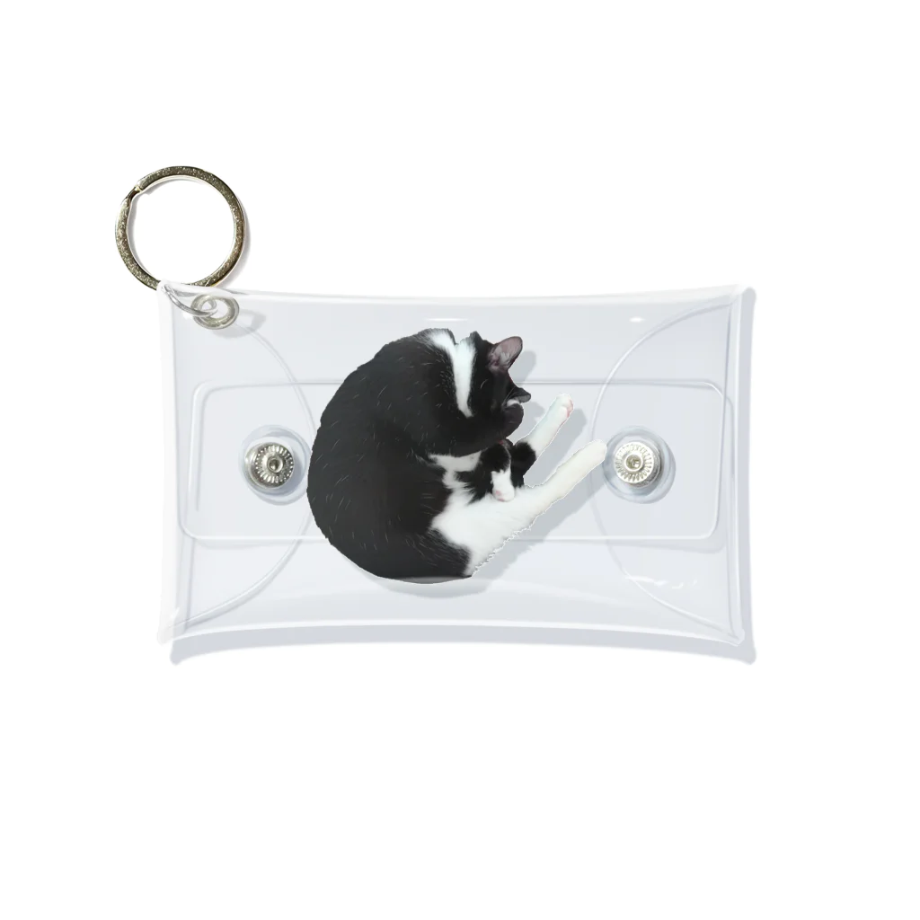 猫山八郎の猫山八郎のアンモニャイト(？) Mini Clear Multipurpose Case