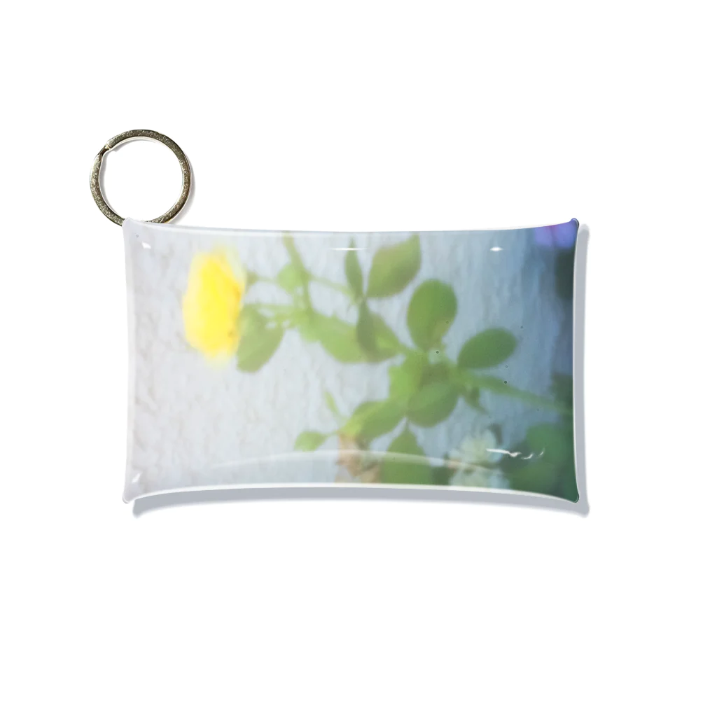 サチンカメラのピンホールの花 Mini Clear Multipurpose Case