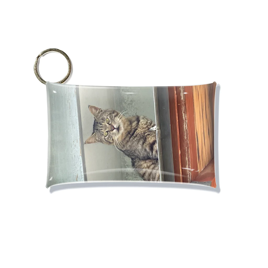 猫のウロコの屋根猫 Mini Clear Multipurpose Case