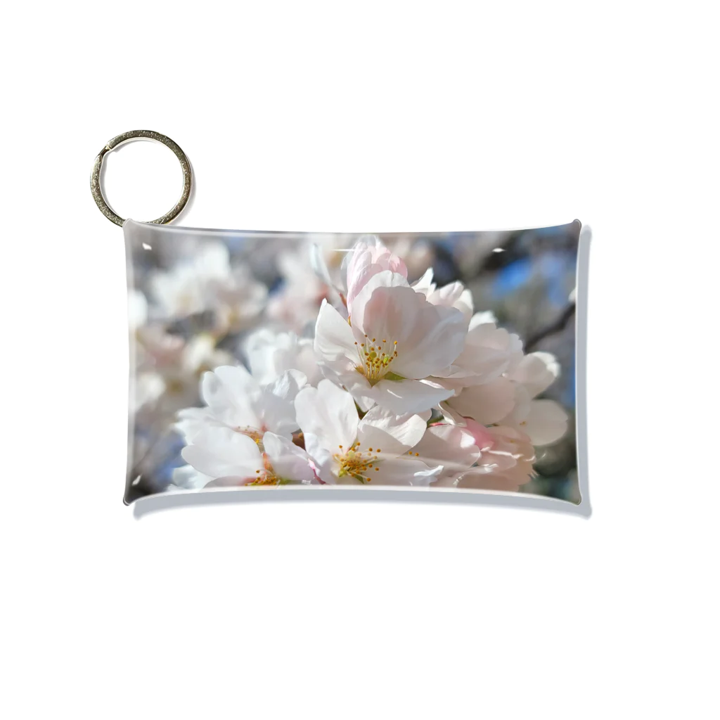 アルミアショップのspring Mini Clear Multipurpose Case