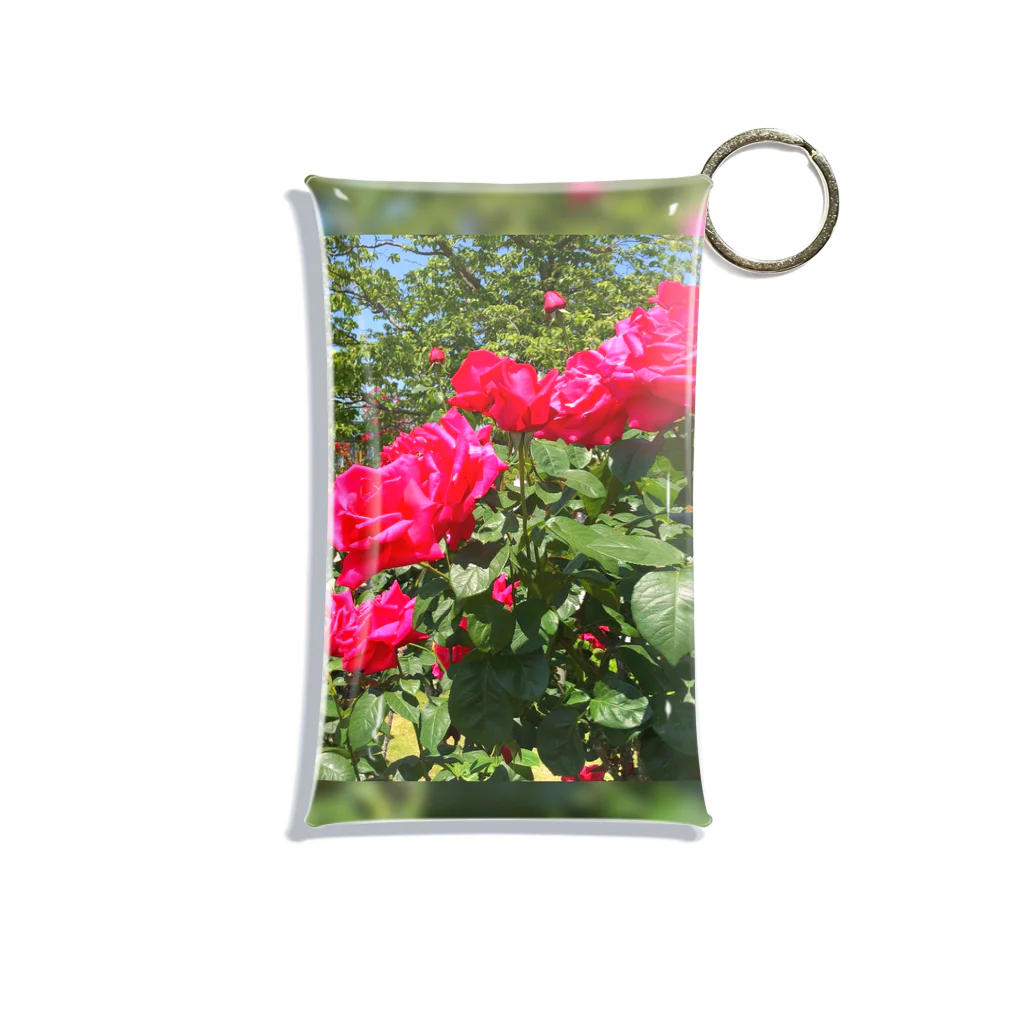 日常のRose Mini Clear Multipurpose Case