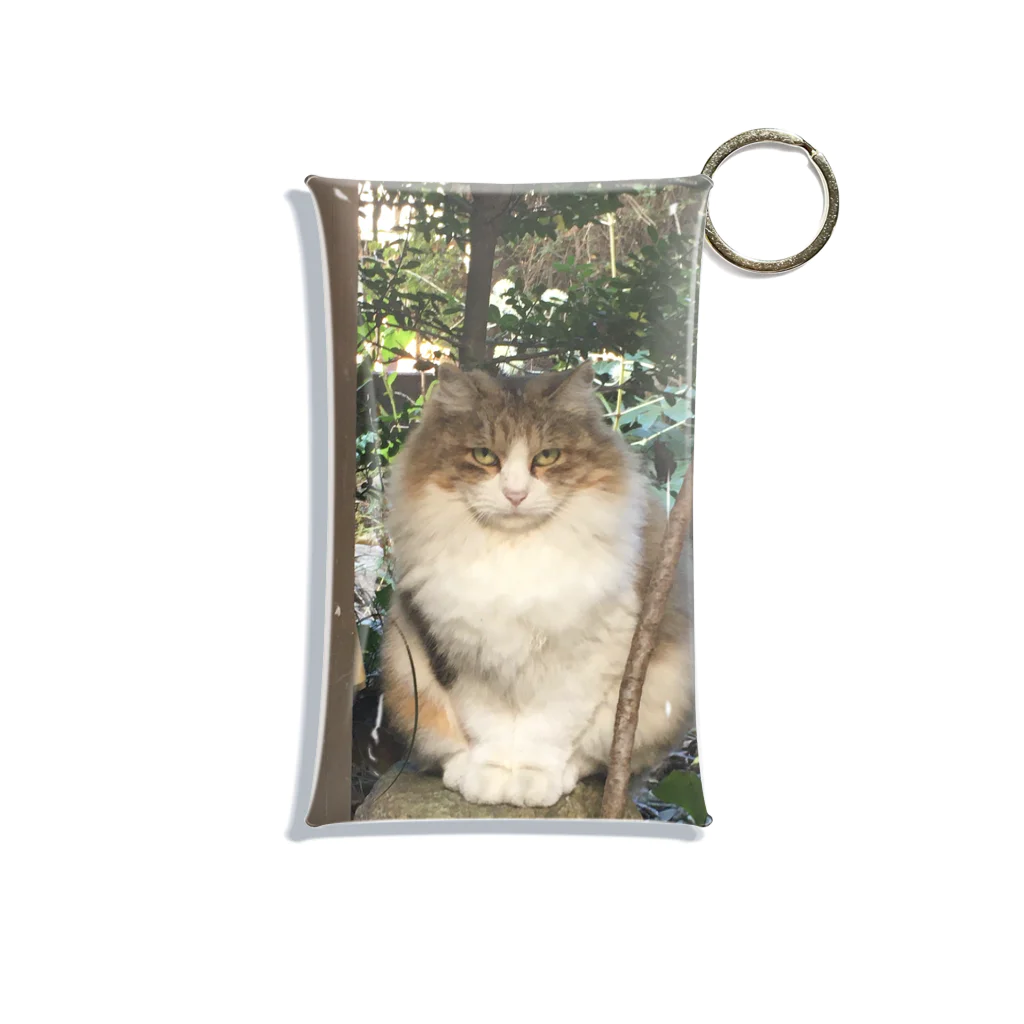 PLANET OF CATS ねこの惑星のmofuneco4 Mini Clear Multipurpose Case