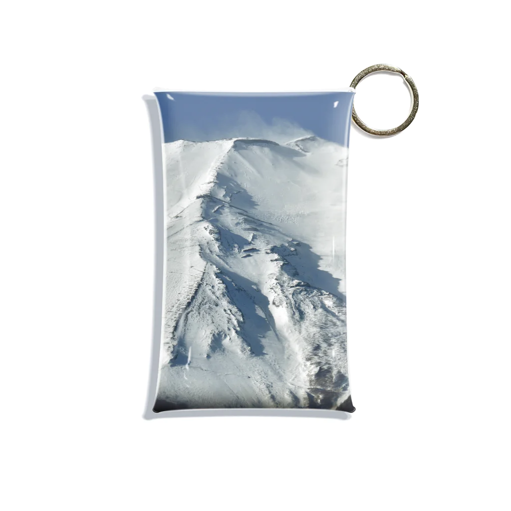 下田村の冠雪した富士山_003 Mini Clear Multipurpose Case