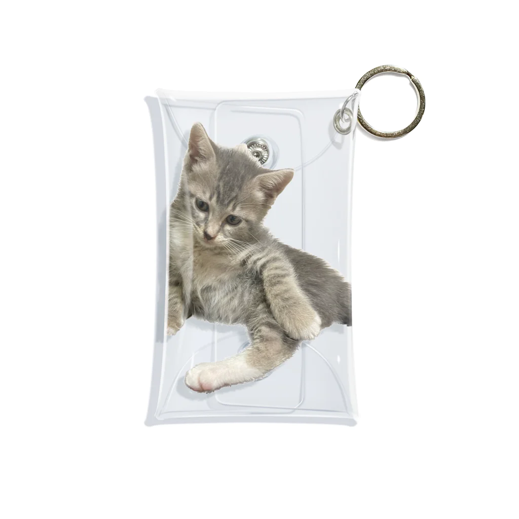 Vegeta_cat22の少し眠たげなベジータくん Mini Clear Multipurpose Case