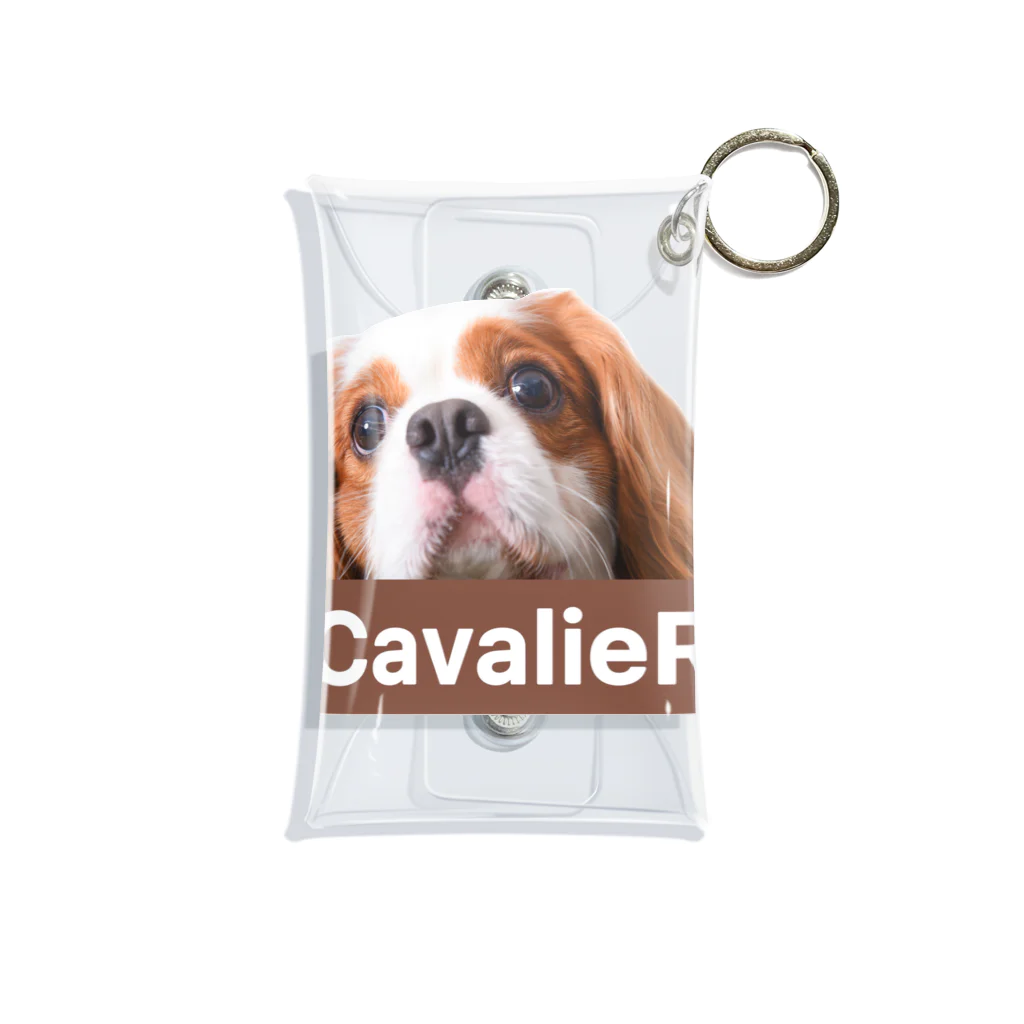 CavalieR【キャバリアール】のCavalieR キャバリア ミニクリアマルチケース