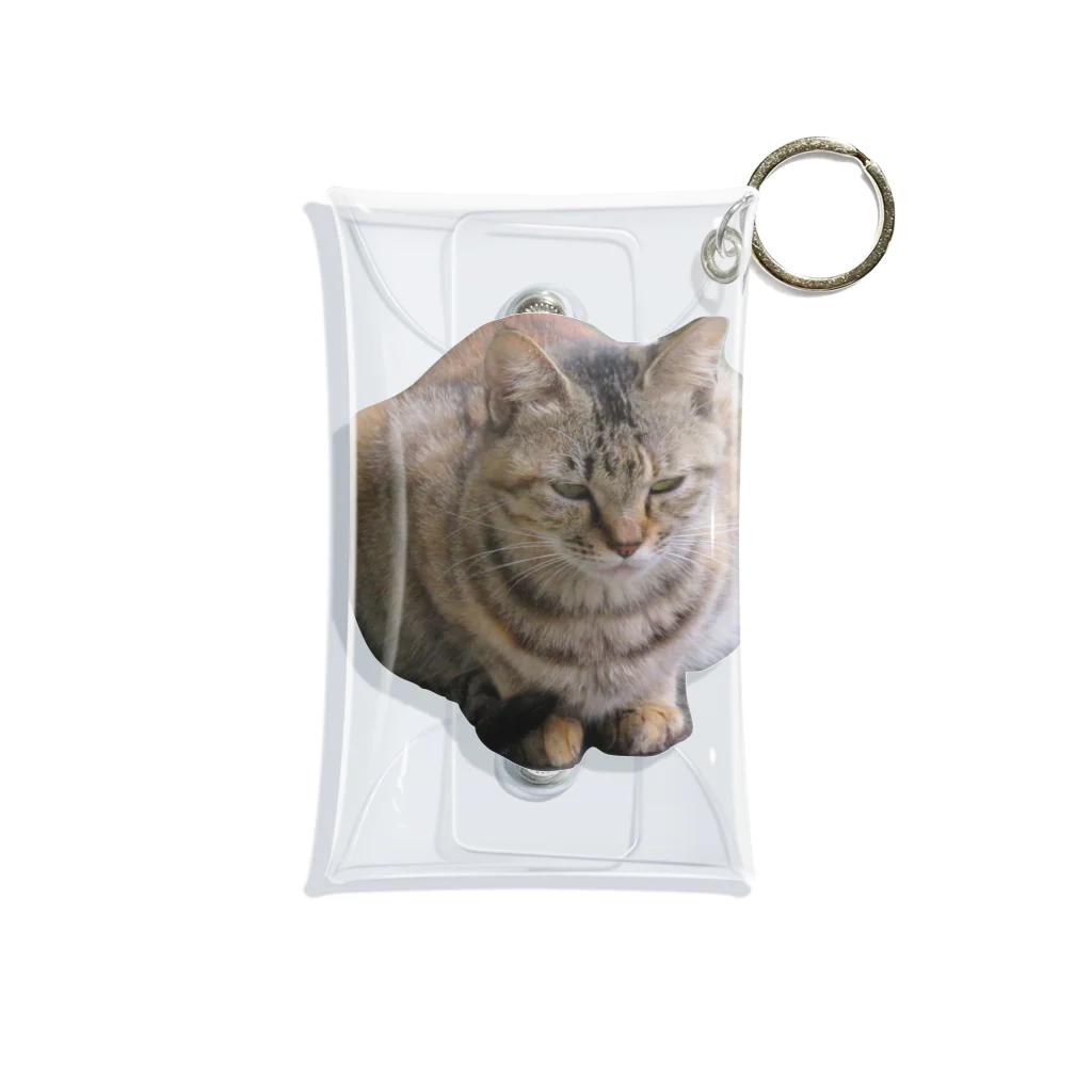 ミラくまの睨みを効かせた猫 Mini Clear Multipurpose Case