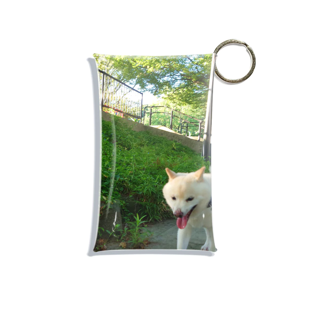 柴犬ラルフの柴犬ラルフ Mini Clear Multipurpose Case