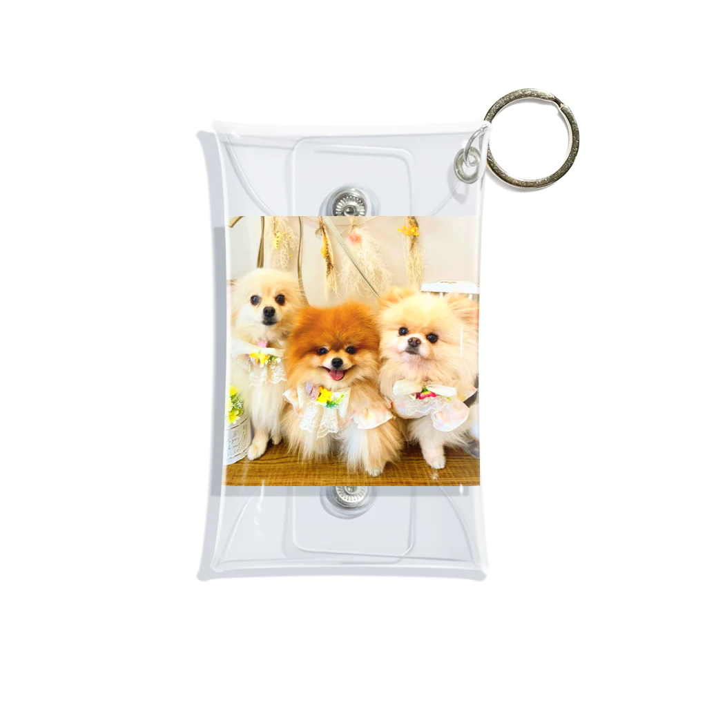 3pomeranian-leo-house　グッズショップのPomeranianlovers　ポメラニアン ミニクリアマルチケース