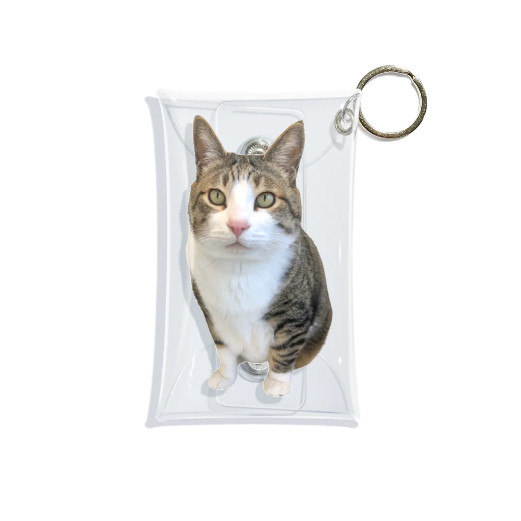 ねこぽてちのポテチくん Mini Clear Multipurpose Case