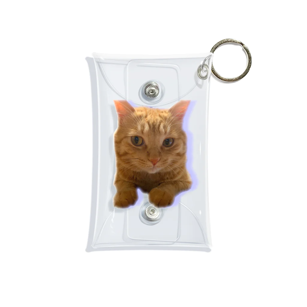 めんけ猫。の我が家の猫くんです。 Mini Clear Multipurpose Case