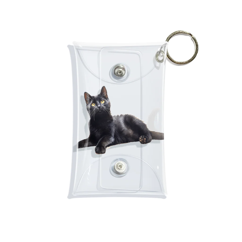 日向ぼっこの黒猫ちも Mini Clear Multipurpose Case