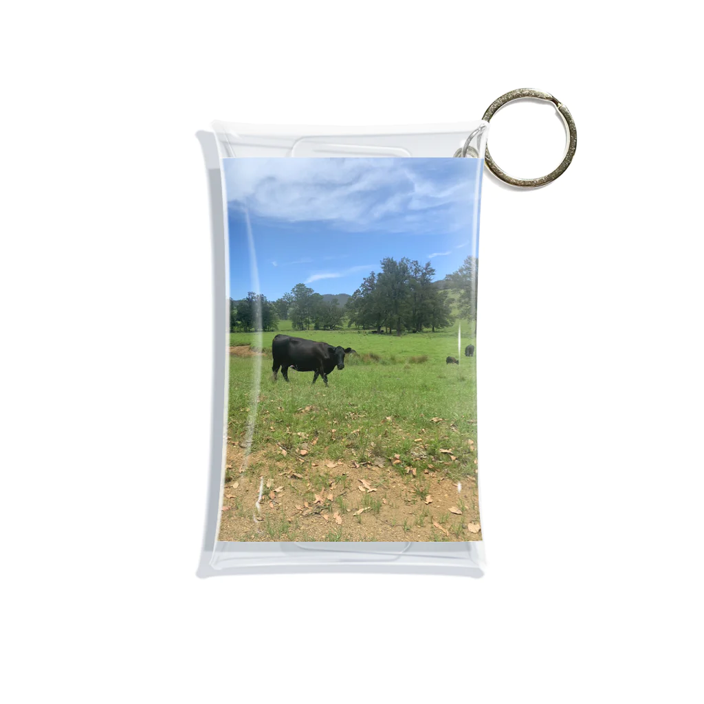 YASUE ABE JPのFarm Mini Clear Multipurpose Case