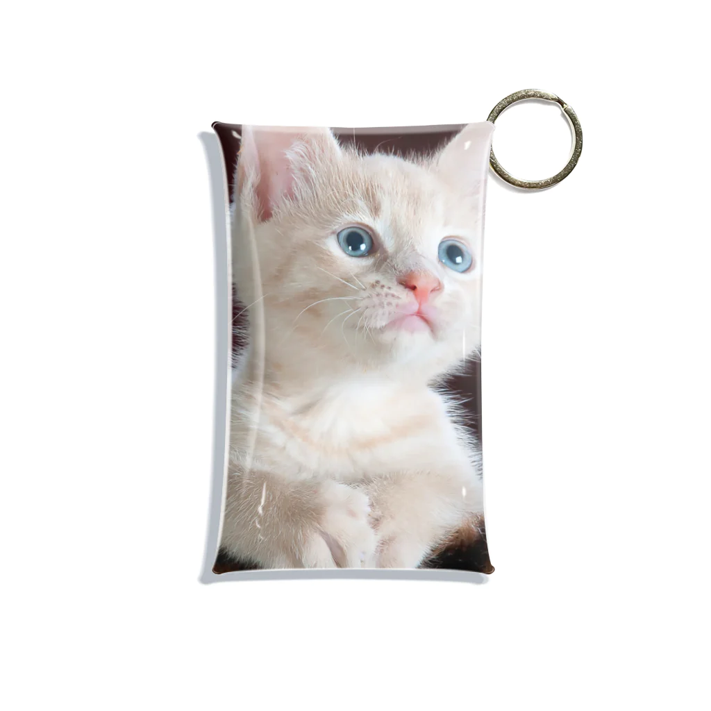 可愛い動物の猫 Mini Clear Multipurpose Case