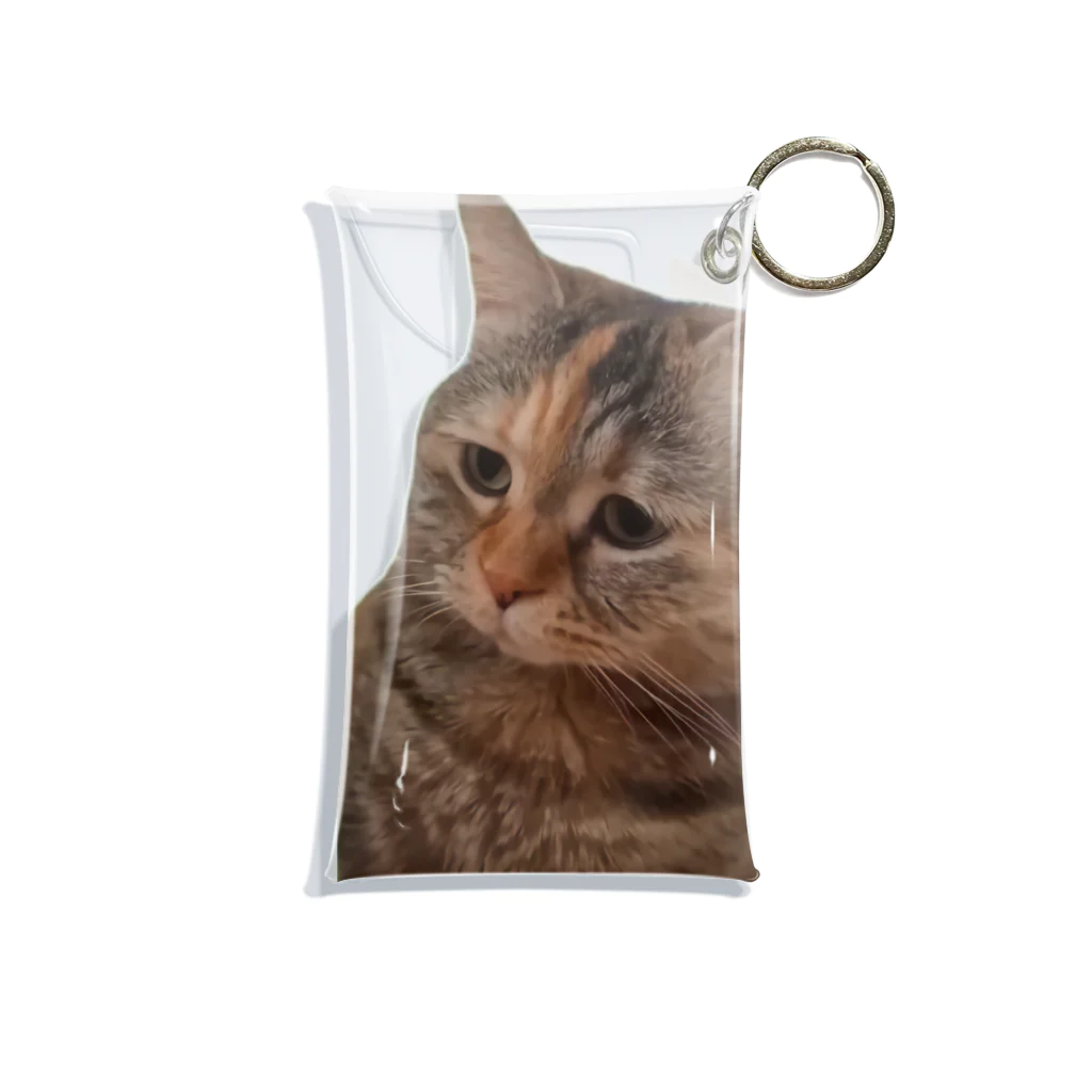 猫ミームグッズの【猫ミーム】叱られる猫 Mini Clear Multipurpose Case