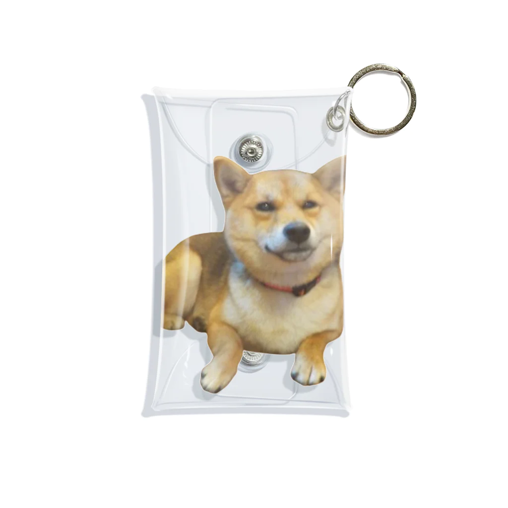 panchanphotoanimalsの豆柴こまりのミニクリアマルチケース Mini Clear Multipurpose Case