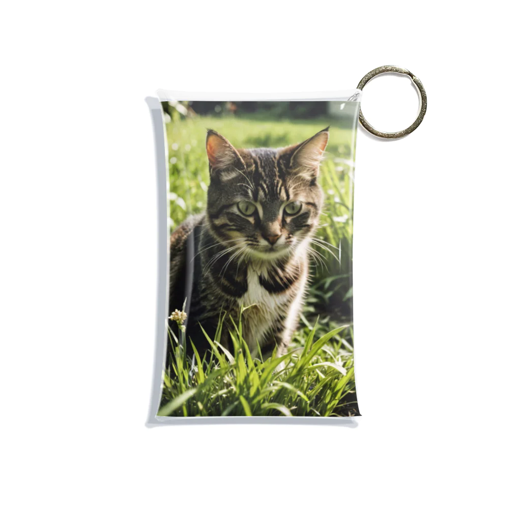 安達聖也の草むらの猫 Mini Clear Multipurpose Case