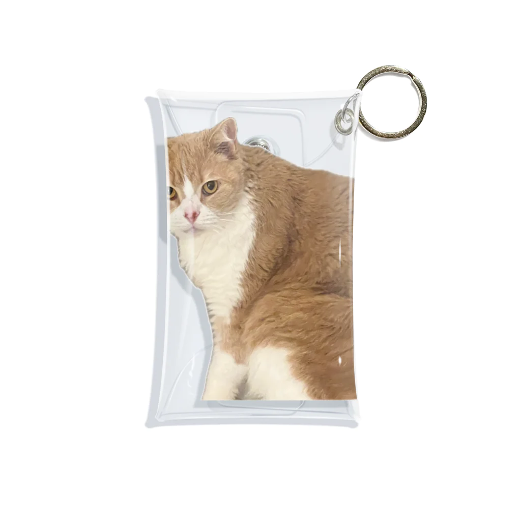 Mashlyのマシロくん猫グッズ Mini Clear Multipurpose Case