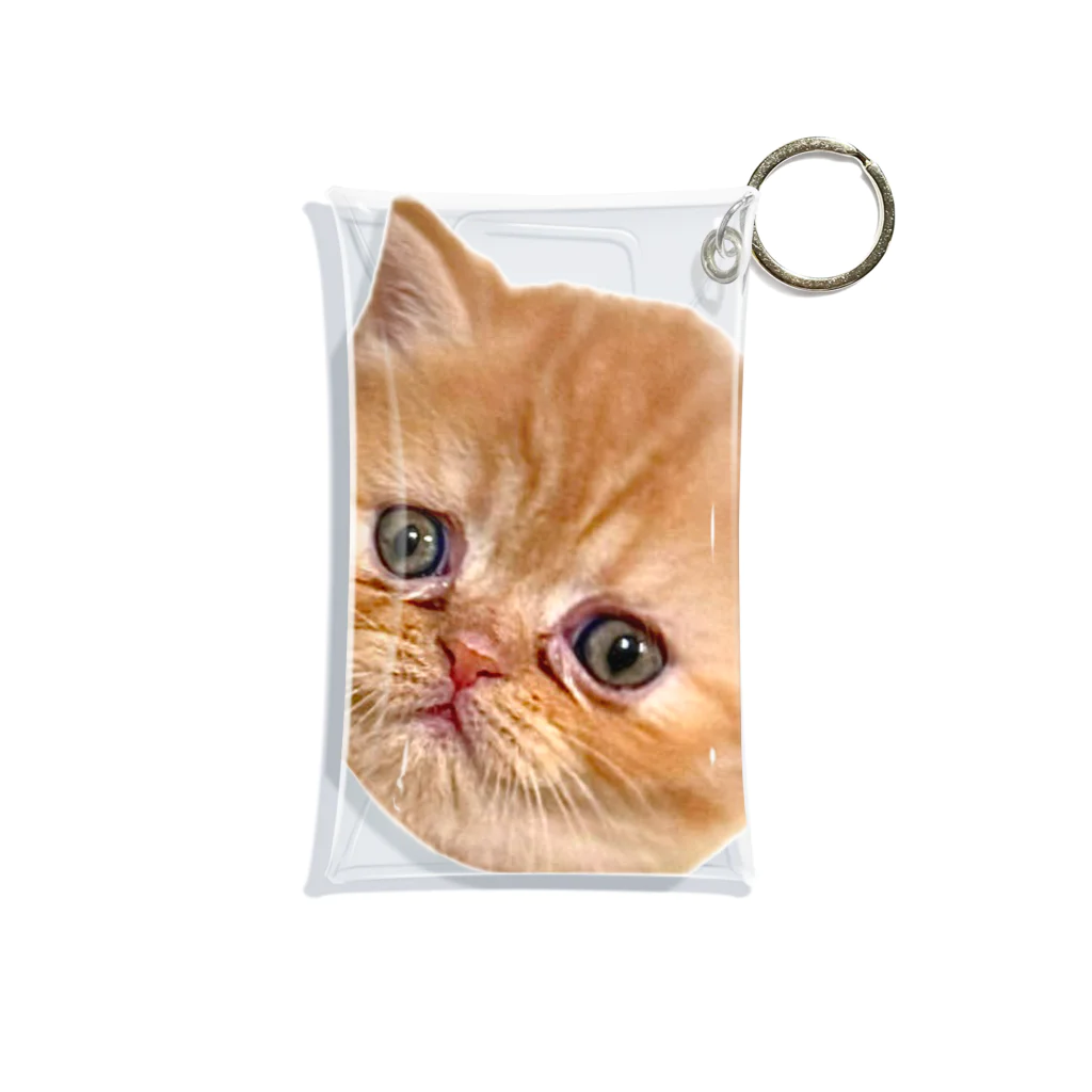 ぶったまショップの子猫のたまちゃん Mini Clear Multipurpose Case