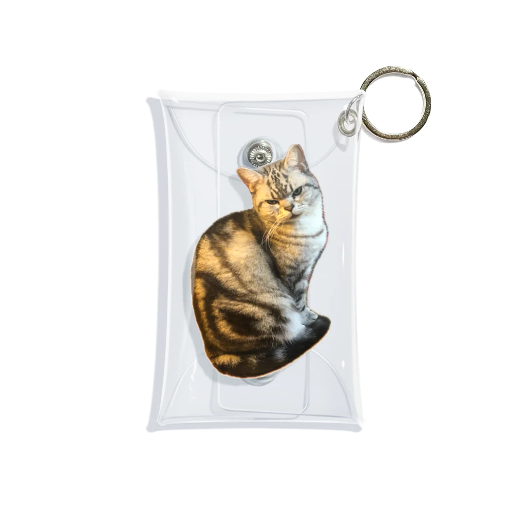 うちの猫ちゃんたちのガン飛ばしとらと Mini Clear Multipurpose Case