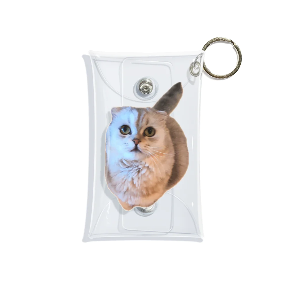 いらっしゃいませのフクロウみたいな猫 Mini Clear Multipurpose Case