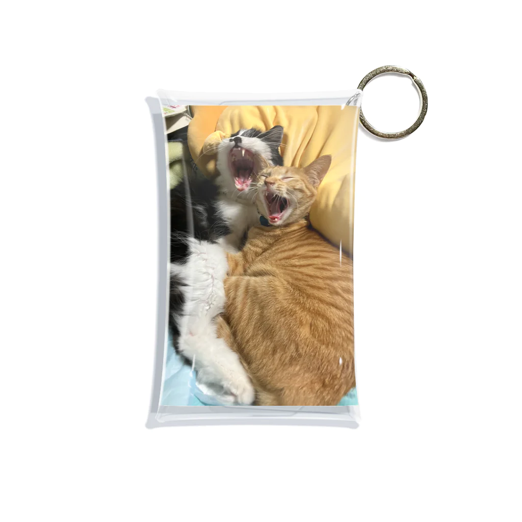 ayamomohidemiのキュートな猫猫あくび Mini Clear Multipurpose Case