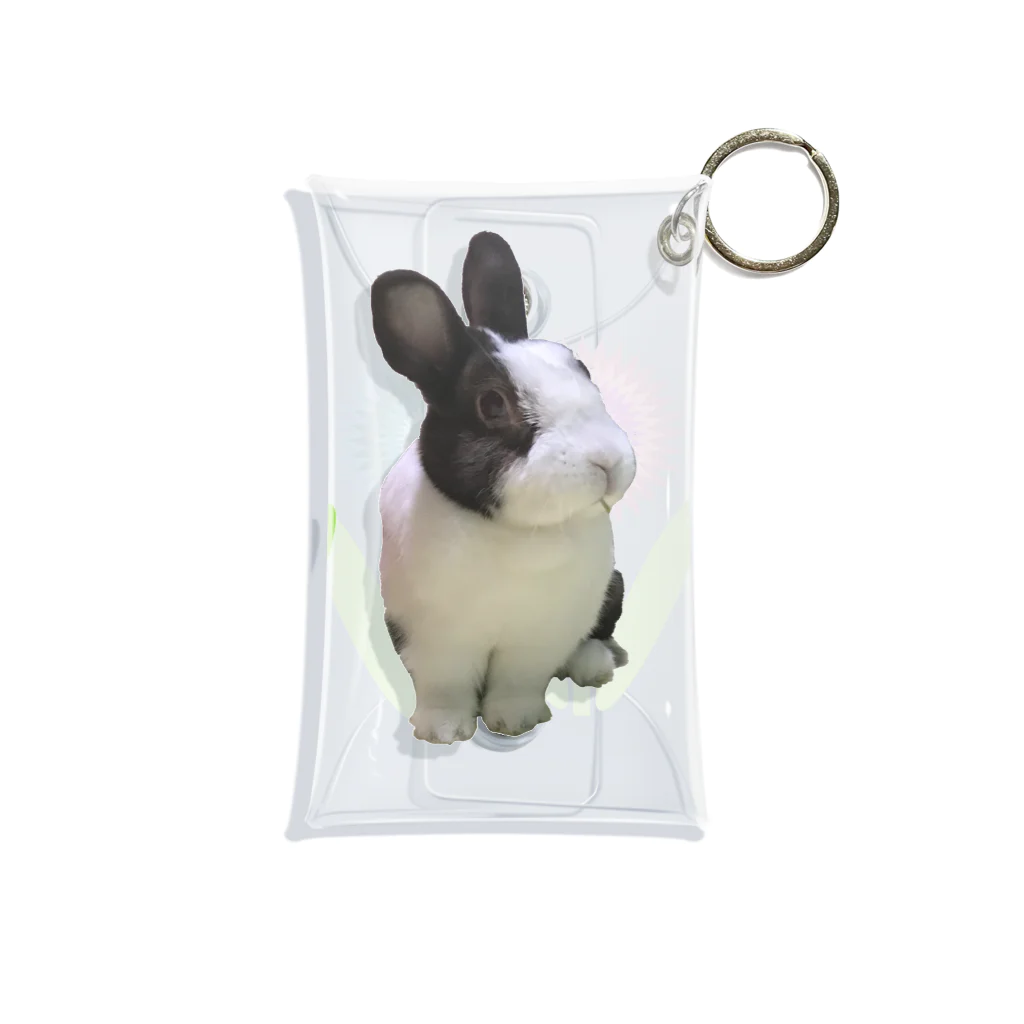 うさぎのきた道&の保護うさぎダイちゃんE Mini Clear Multipurpose Case