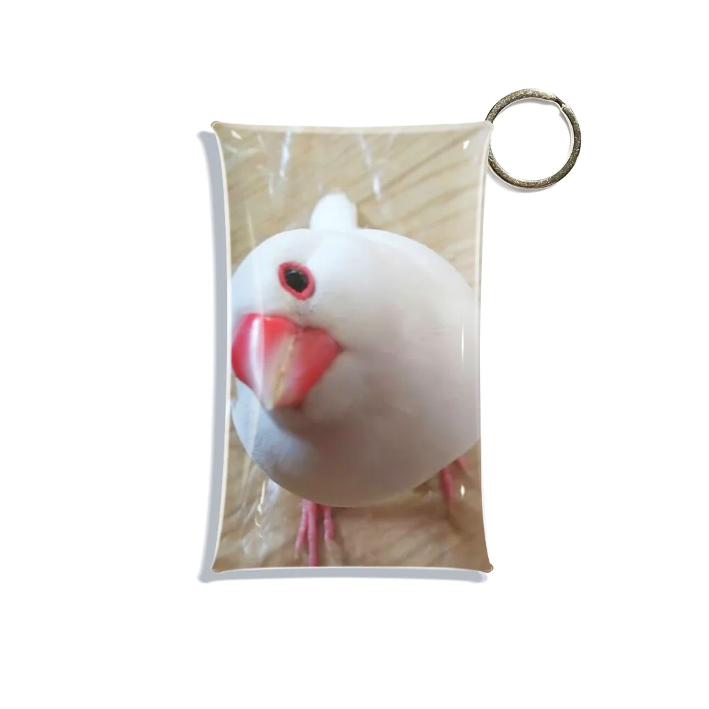 Lily bird（リリーバード）の小首を傾げる白文鳥さん Mini Clear Multipurpose Case