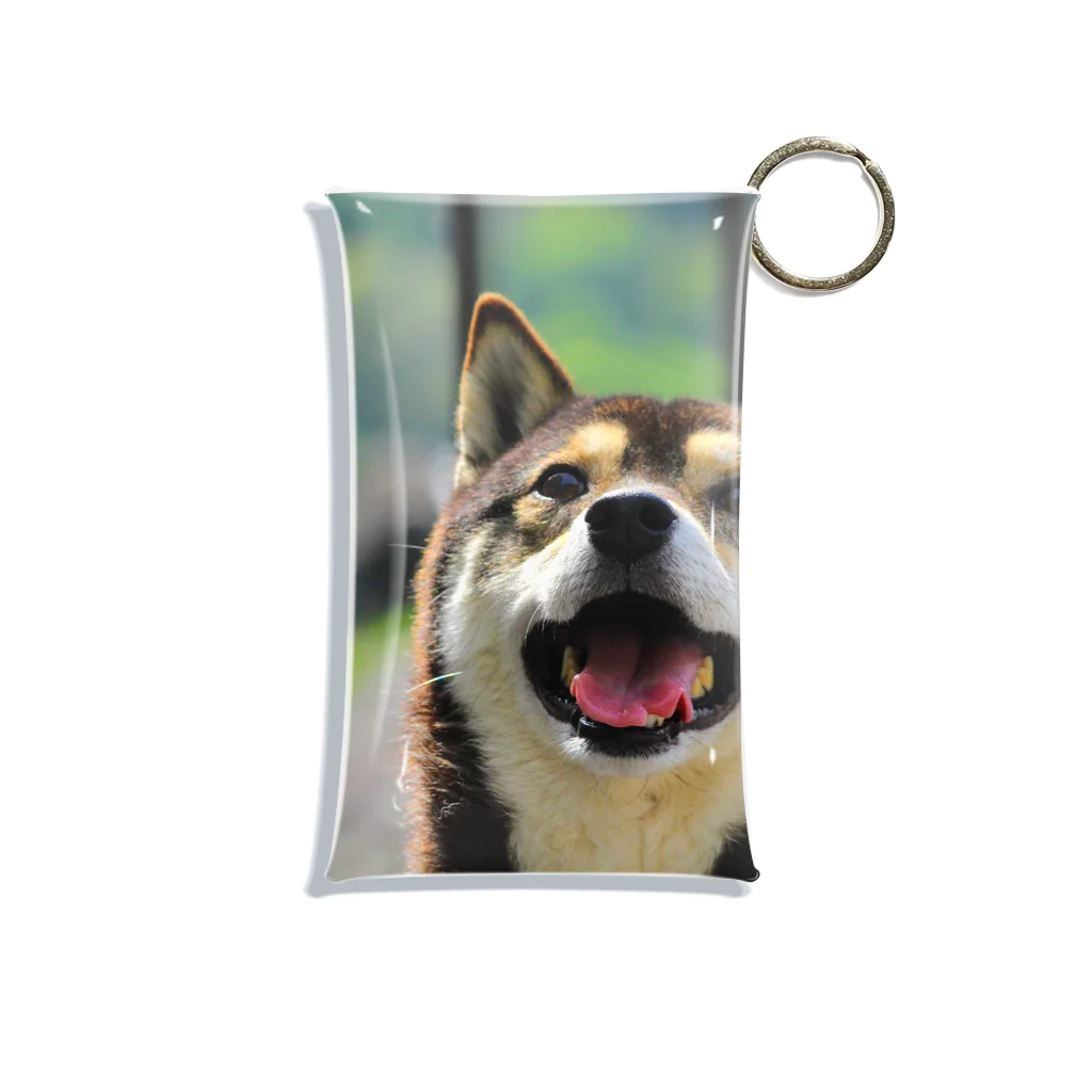 Kippaの柴犬ゆずちゃん Mini Clear Multipurpose Case