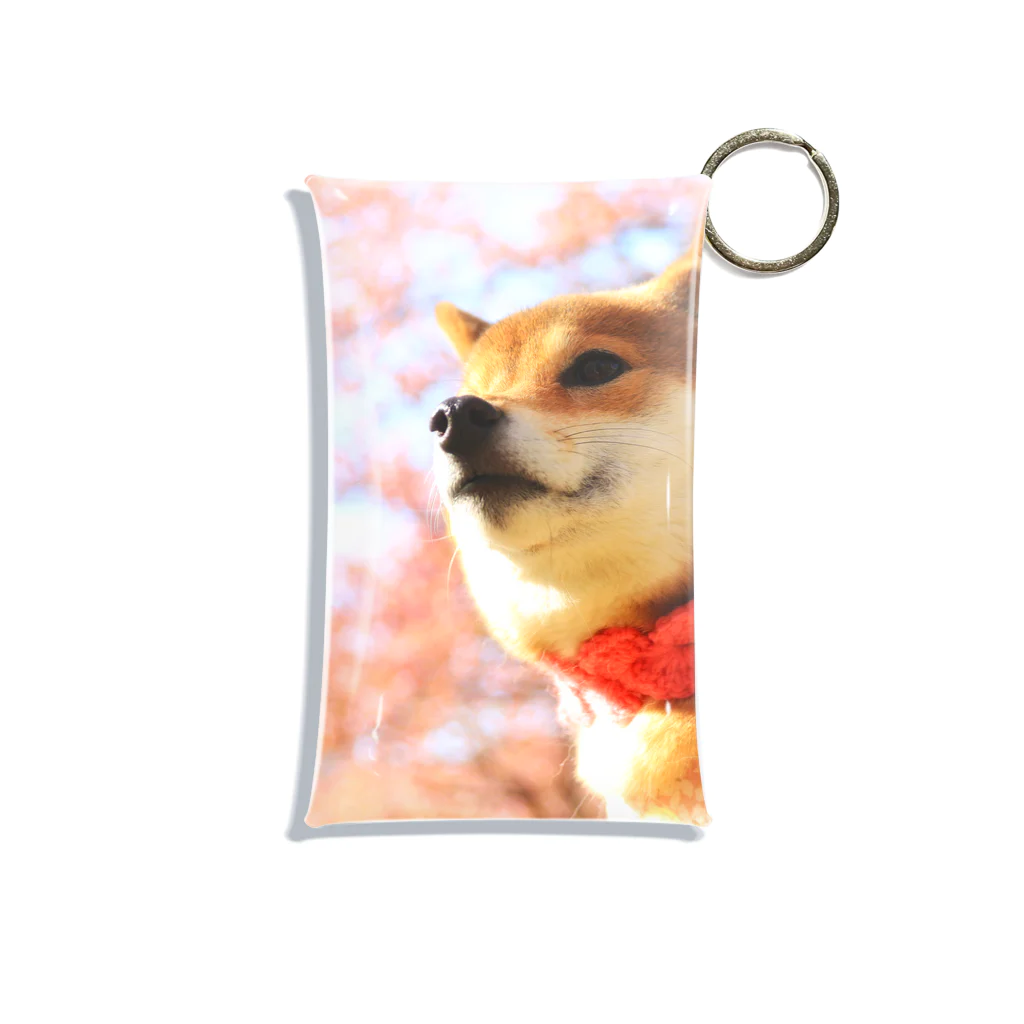 柴犬～日向～の桜と日向 Mini Clear Multipurpose Case