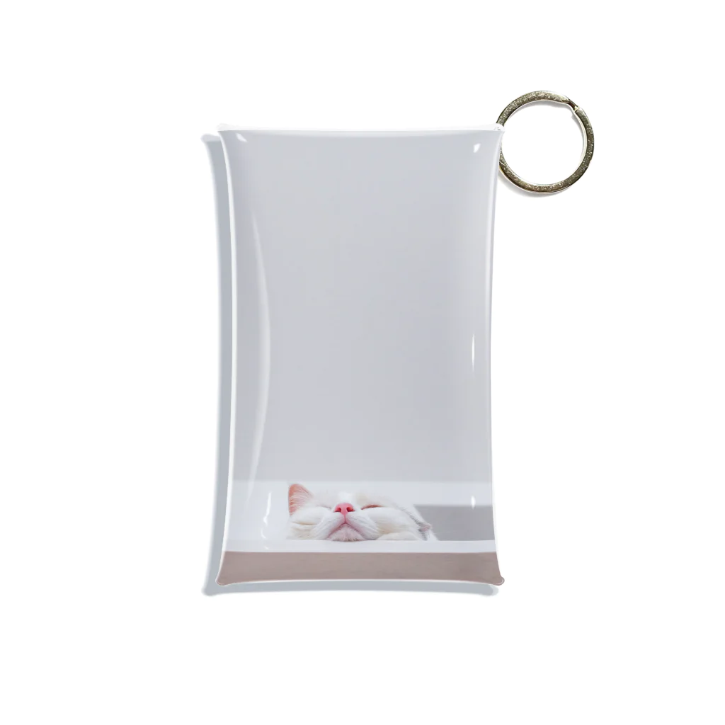 chatonの実家の猫 Mini Clear Multipurpose Case