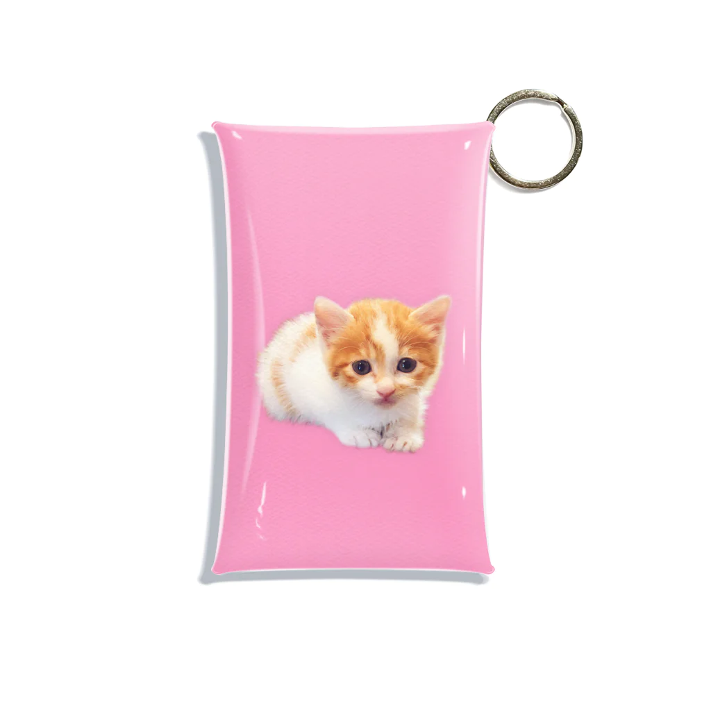 うちの猫ら　2号店のおいなり Mini Clear Multipurpose Case